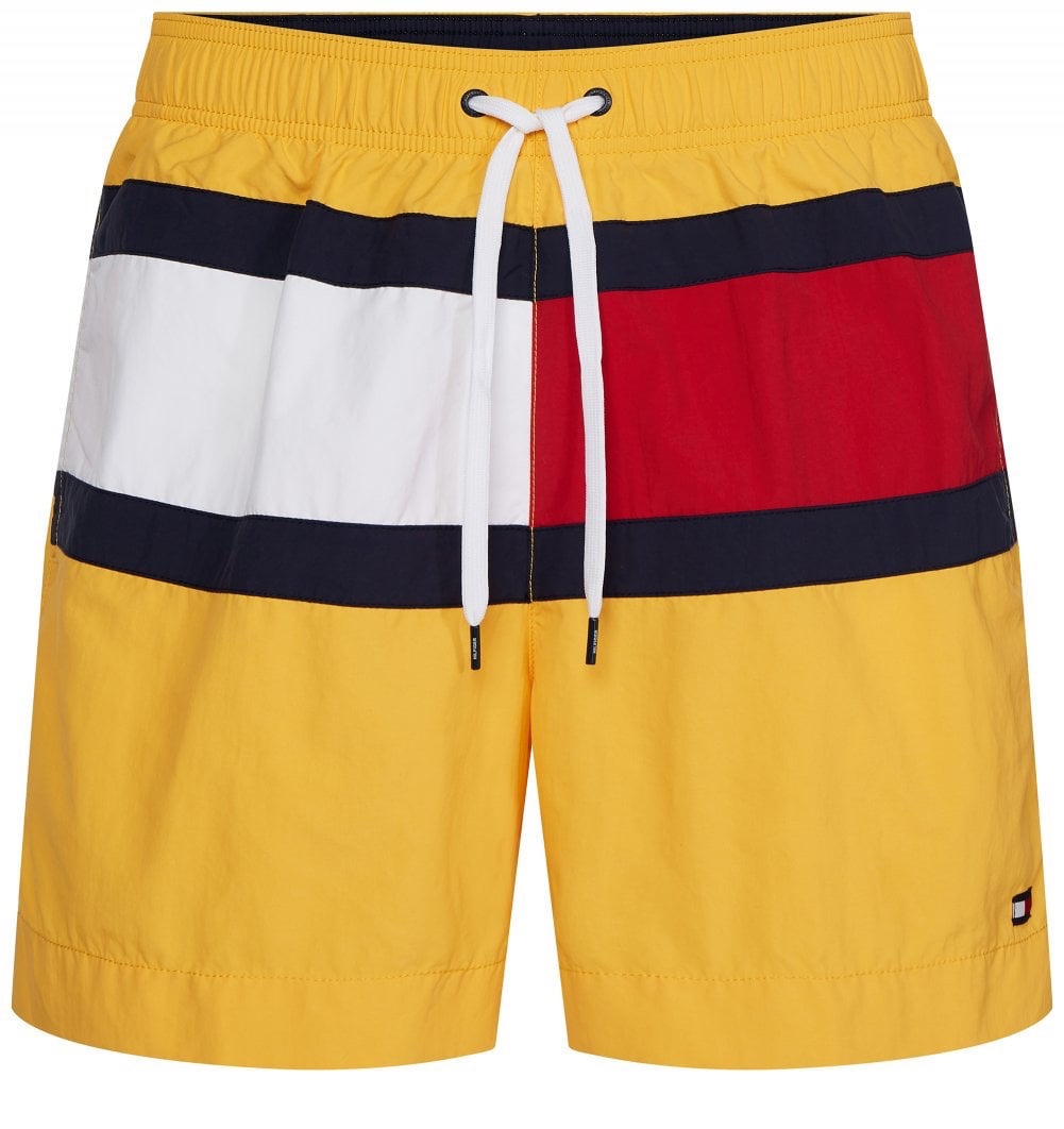 Tommy Hilfiger Logo Shorts Best Sale, 59% OFF | www.rupit.com
